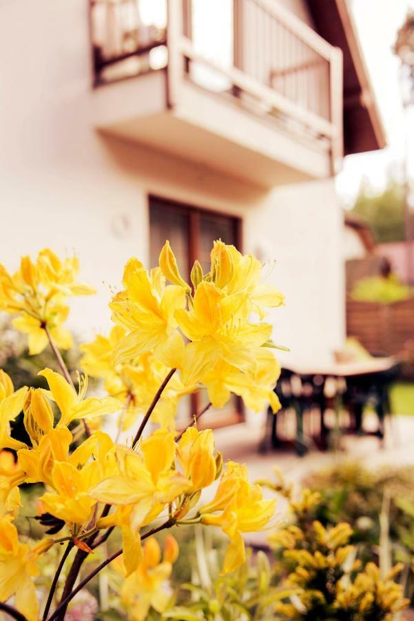 Ferienwohnung Urlop Przy Wydmach Międzywodzie Exterior foto