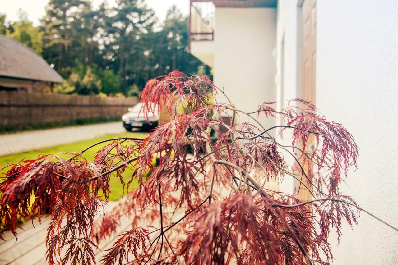 Ferienwohnung Urlop Przy Wydmach Międzywodzie Exterior foto